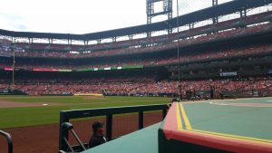 Busch Stadium protective netting