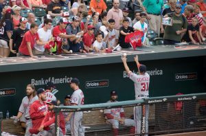 dugouts before protective netting 2018